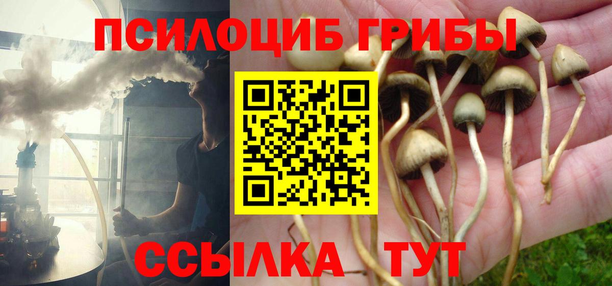 Елец  Псилоцибиновые грибы мухоморы  Вход с VPN 